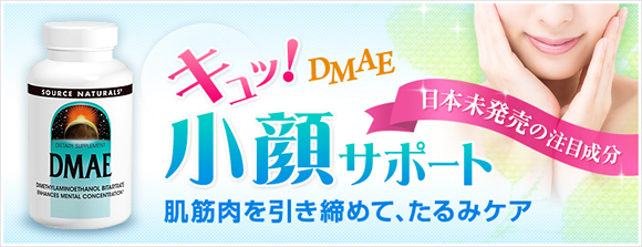 DMAE 351mg 100カプセル